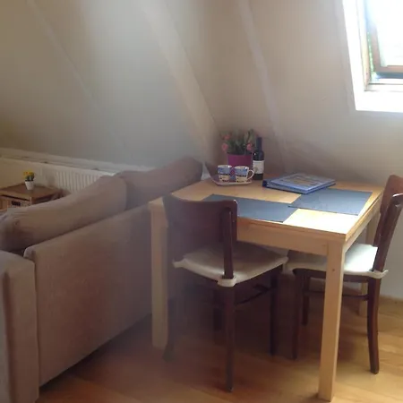 De Slotruine Apartment *